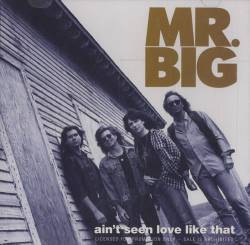 Mr. Big : Ain't Seen Love Like That